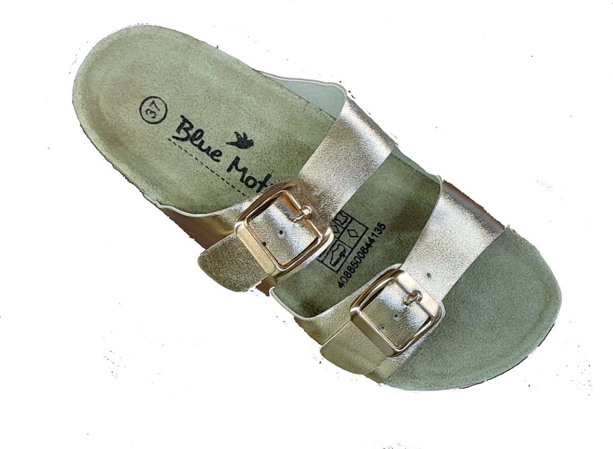 Blue Motion dames slippers model 2 goud, maat 37