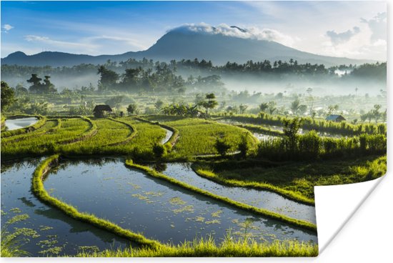 Zonsopkomst rijstveld Tirtagangga Bali Poster - Foto print op Poster (wanddecoratie)