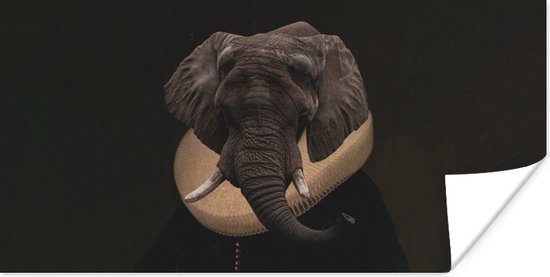 Foto: Poster olifant kunst dierenkop 80x40 cm