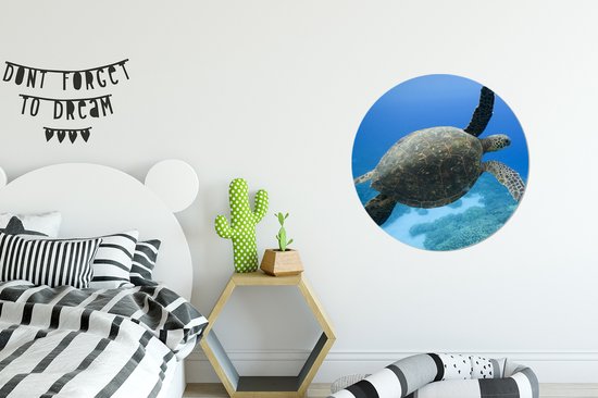 WallCircle - Peinture - Tortue Verte Nageuse Photo Tirage Et - Multicolore - 60 X 60 Cm