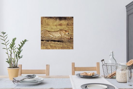 Stickers Stickers muraux - Vue de face femelle guépard - 80x80 cm - Film adhésif