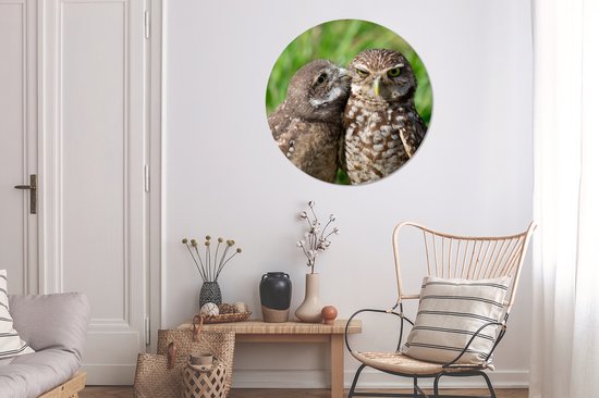 WallCircle - Stickers muraux - Cercle Papier Peint - Hiboux - Vogels - Herbe - 100x100 cm - Cercle Mural - Auto Adhésif - Sticker Papier Peint Rond XXL