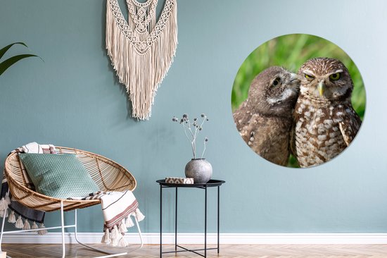 WallCircle - Stickers muraux - Cercle Papier Peint - Hiboux - Vogels - Herbe - 100x100 cm - Cercle Mural - Auto Adhésif - Sticker Papier Peint Rond XXL