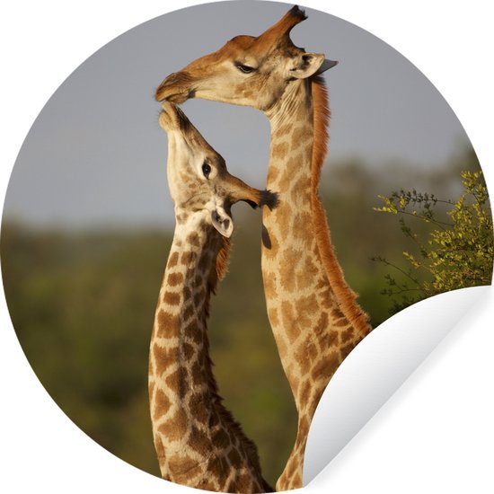Runtoo Grote Safari Boom Muurstickers Groene Plant Jungle Muurstickers Kwekerij Kids Slaapkamer Wall Art Decor