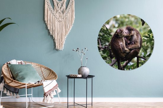 Famille de singes sur une branche Sticker mural cercle mural 100x100 cm / cercle de papier peint / cercle mural / cercle vivant - autocollant et coupe ronde
