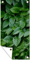 Affiche de jardin Feuilles vertes - 40x80 cm