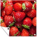 PDP.ProductImage.Thumb.Image.srtText 16