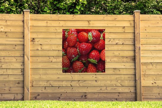 Chiffon de jardin Fraise - Fruit - Graines - 100x100 cm