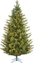 Black Box Trees - Dunville kerstboom led groen 528L TIPS 3741 - h230xd140cm- Kerstbomen