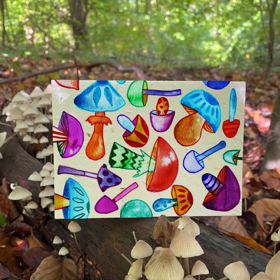5x Bloeikaart ‘Much room for Mushrooms’ – Plantbare wenskaart met zaden