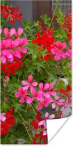 Poster Geranium bloemen in de tuin - 75x150 cm