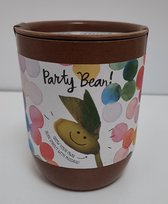 Hallmark Magic Bean, party bean