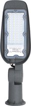 LED Straatlamp - Igory Animo - 30W - Helder/Koud Wit 6500K - Waterdicht IP65 - Mat Grijs - Aluminium