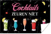 Poster Cocktails - Cocktail glazen - Tekst - 30x20 cm - Cadeau voor vrouw - Cadeau voor man - Vaderdag cadeau - Geschenk - Cadeautje voor hem - Tip - Mannen