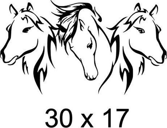 Raam / muur / auto / trailer  sticker- Paarden - Paard - paardenhoofd - dieren
