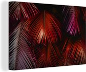 Canvas Schilderij Palmblad - Jungle - Rood - 90x60 cm - Wanddecoratie