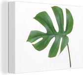 Canvas Schilderij Botanisch blad op een witte achtergrond - 40x30 cm - Wanddecoratie
