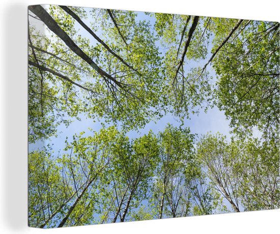 Photo de la forêt en été Toile 60x40 cm - Tirage photo sur Toile (Décoration murale salon / chambre) / Décoration murale Peintures sur toile