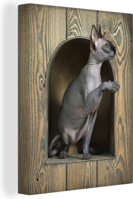 Canvas Schilderij Sphynx haarloze kat in een houten gewelfde raam - 90x120 cm - Wanddecoratie