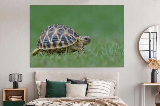 Canvas schilderij 180x120 cm - Wanddecoratie Schildpad op gras - Muurdecoratie woonkamer - Slaapkamer decoratie - Kamer accessoires - Schilderijen