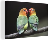 Canvas schilderij 180x120 cm - Wanddecoratie Lovebirds papegaaitjes fotoprint - Muurdecoratie woonkamer - Slaapkamer decoratie - Kamer accessoires - Schilderijen
