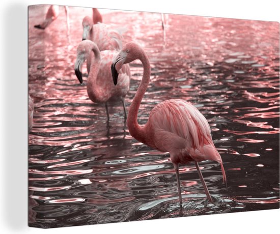 Canvas Schilderij Een groep flamingo's staat in het water - Wanddecoratie