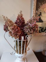 Pinky Winky droogbloemen met vaas Clayre & Eef ......Wat een plaatje!! 75cm hoog 50cm breed