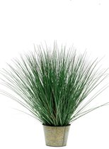 Kunst Grasplant Wild Gras 80 cm in zinc pot