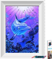 Artstudioclub®  Diamond painting volwassenen 25x30 cm Dolfijn