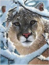 Diamond painting leopard in de sneeuw 40 x 50 cm