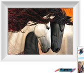 Artstudioclub®  Diamond painting volwassenen 30x20 cm  Paarden