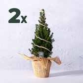 2x Mini kerstboom met LED verlichting - ↑45 cm - Kerst - Versiering