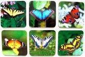 Mooie onderzetters - Set van 6 - Vlinders - Kurk/kunststof