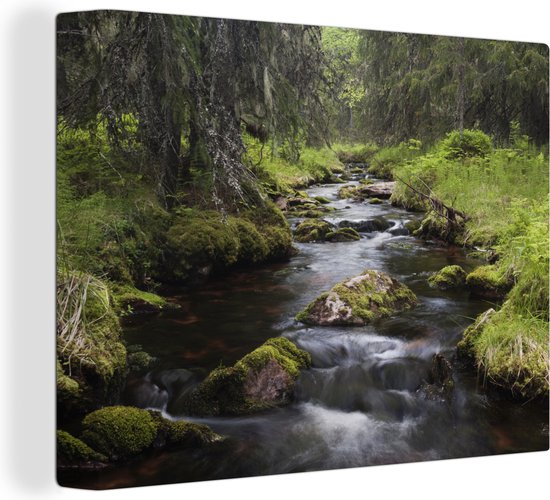 Riviertje met rotsblokken in het Nationaal park Fulufjället in Zweden Canvas 80x60 cm - Foto print op Canvas schilderij (Wanddecoratie woonkamer / slaapkamer)