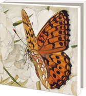 Kaartenmapje met env, vierkant: Vlinder, Zaans Museum
