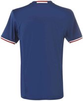 Olympique Lyon Shirt Uit Senior 2016-2017 Maat M