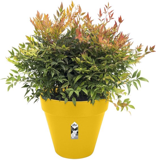 Gele Elho bloempot met een Nandina plant met rode en groene bladeren.