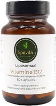 Vitamine B12 (methylcobalamine) Liposomale 60 Capsules  (liposomaal).