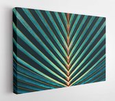 Palmblad strepen, abstracte groene textuur achtergrond, vintage toon - moderne kunst canvas - horizontaal - 552419902 - 115*75 Horizontal