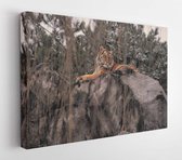 Onlinecanvas - Schilderij - Wilde Dieren In Het Wild Art Horizontaal Horizontal - Multicolor - 80 X 60 Cm