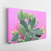 Trendy tropische groene Neon Cactus op paarse kleur achtergrond. Mode Minimal Art Concept. Creatieve stijl. Cactussen kleurrijke modieuze stemming - Modern Art Canvas - Horizontaal