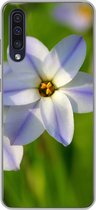 Geschikt voor Samsung Galaxy A50 hoesje - Bloemen - Tuin - Paars - Siliconen Telefoonhoesje