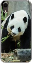 Geschikt voor iPhone XR hoesje - Panda - Boomstam - Grot - Siliconen Telefoonhoesje