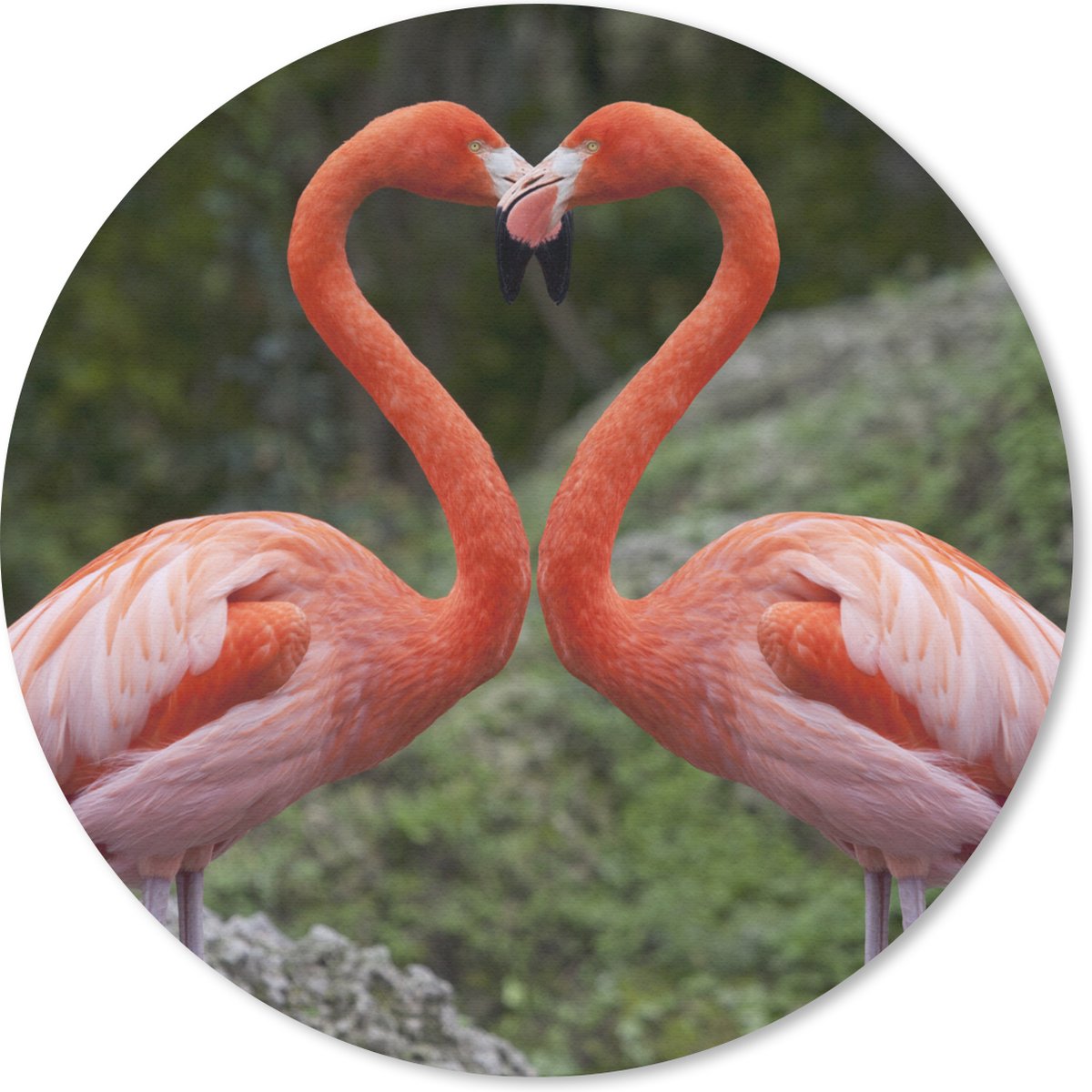 Muismat rond 20x20 cm - Mousepad Twee flamingo's vormen een hart - Ronde muismatten