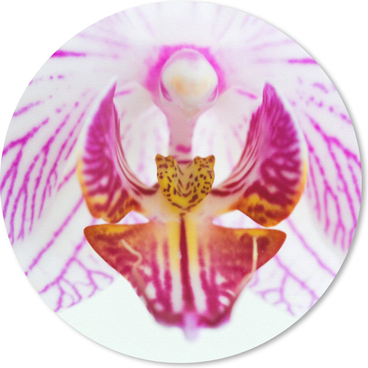 Muismat rond 30x30 cm - Mousepad Orchidee detail - Ronde muismatten