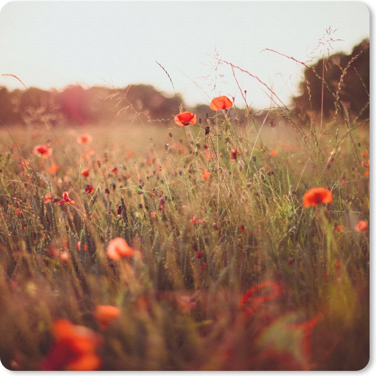 Muismat 30x30 cm - Mousepad Zonsondergang - Bloemen - Rood - Muismatten