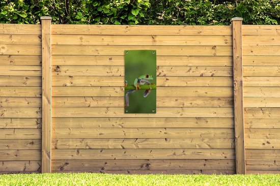 Poster de jardin Grenouilles - Branche - Vert - 40x80 cm - Décoration murale Outdoor - Poster jardin - Toile jardin - Poster clôture - Tableau jardin