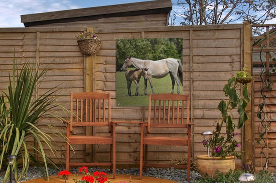 Posters de jardin Paarden - Herbe - Ombre - 50x50 cm - Toile de jardin - Affiche extérieure