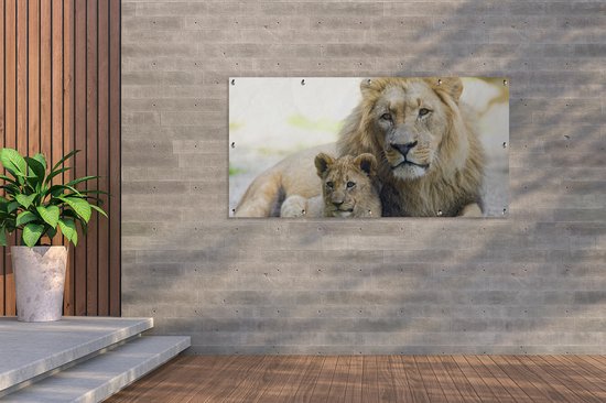 Affiche de clôture Lion - Cub - Portrait - 200x100 cm - Toile de jardin