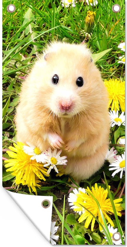Lot De 4 Figurines Hamster En Résine - Décoration Jardin, Maison, Jaune, Réaliste